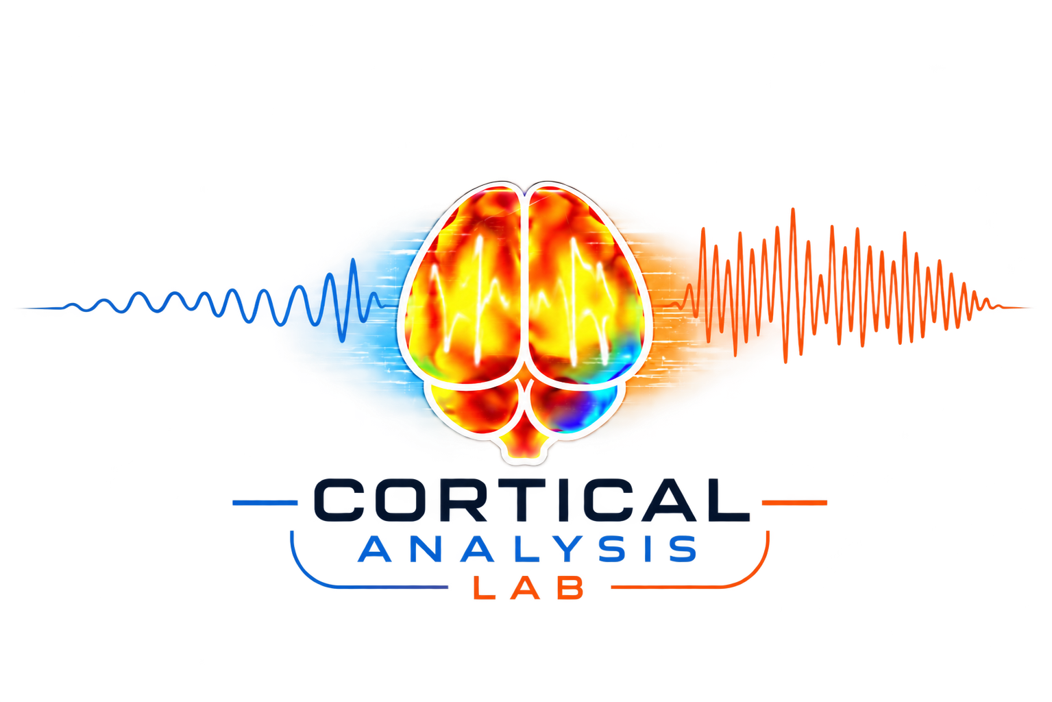 Cortical Analysis Lab